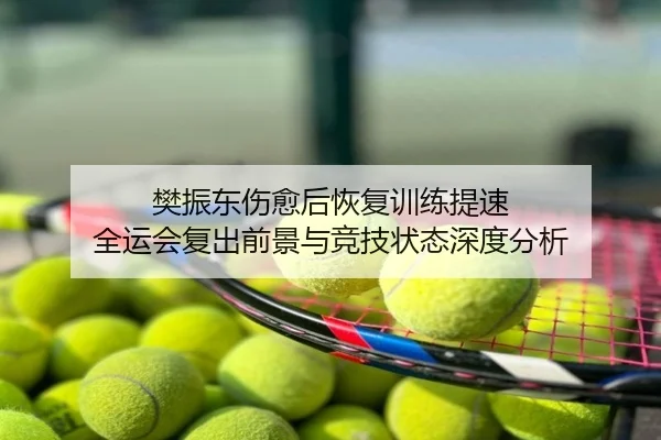 樊振东伤愈后恢复训练提速 全运会复出前景与竞技状态深度分析